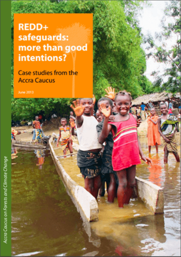 REDD+ safeguards: more than good intentions? Case studies from the Accra Caucus