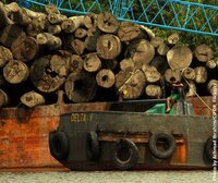 EU Trade Policy Day: people want a trade policy that tackles climate change