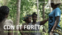 CDN et forêts - Bilan des progrès et perspectives futures