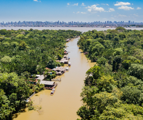 From pledges to progress? Forest commitments on the path to COP30