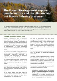 The Forest Strategy must support people, nature and the climate, and not bow to industry pressure