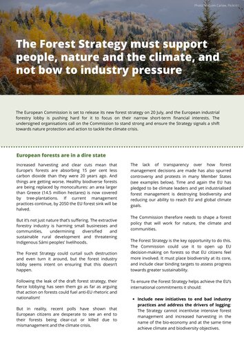 The Forest Strategy must support people, nature and the climate, and not bow to industry pressure