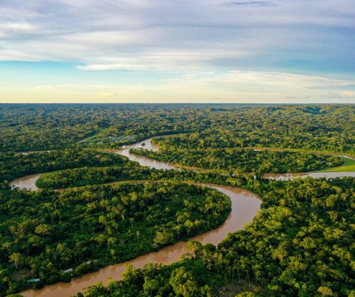 What is the Tropical Forests Forever Facility (TFFF)?