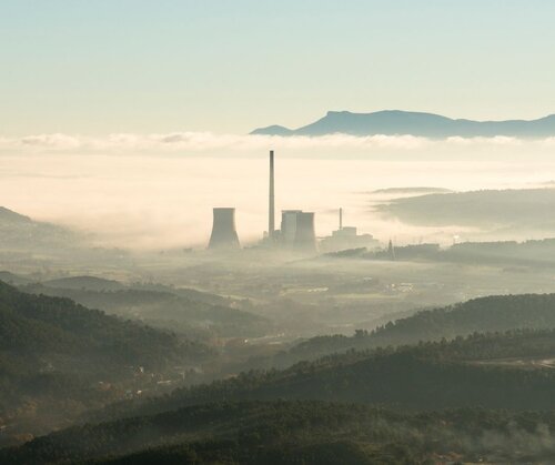 Historic vote on no longer burning trees for energy needs to be defended