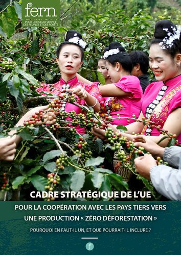Cadre stratégique de l’UE pour la coopération avec les pays tiers vers une production « zéro déforestation »