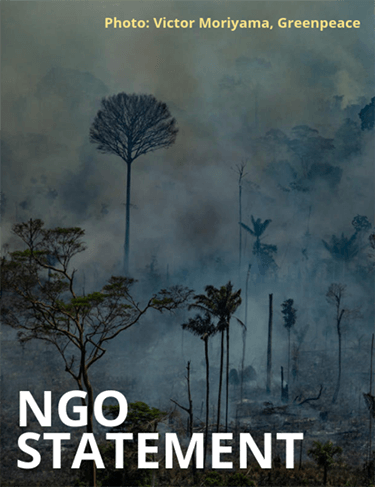 Plea to address EU complicity in the Amazon fires