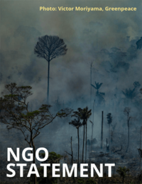 Plea to address EU complicity in the Amazon fires