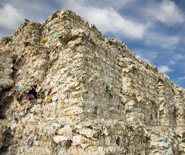 Knife-edge ENVI vote to ban superfluous packaging may not be enough to save forests