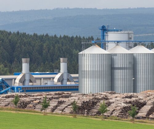 Biomass: new, troubling data on use and subsidies in the EU