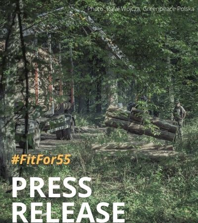 Forests sacrificed for EU climate policy