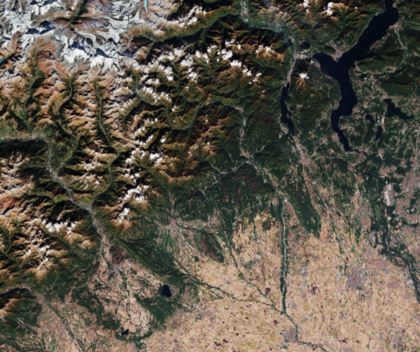 Will the Forest Monitoring Law become a victim of the deregulation agenda?