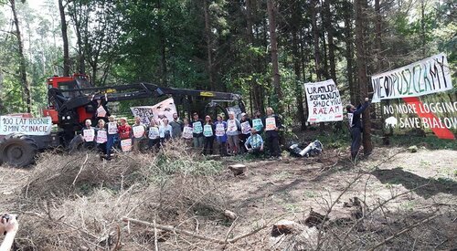 Blog: Białowieża forest struggle is symptomatic of a greater ill