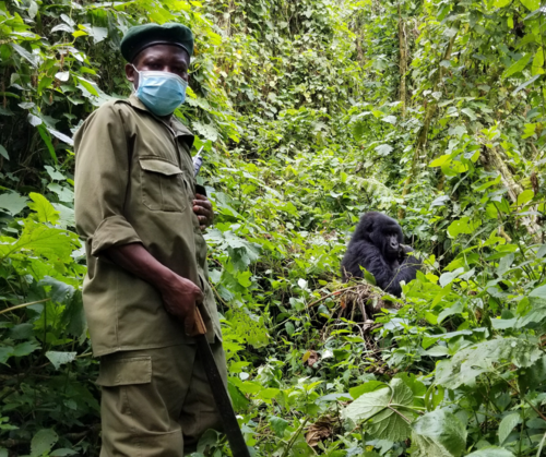 NaturAfrica: A paradigm shift in the EU’s approach to nature conservation?