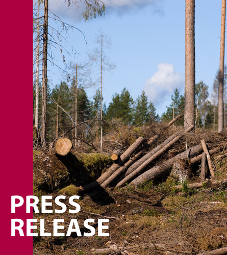 The EU deforestation law: EU must provide better support to smallholders – not propose simplifications