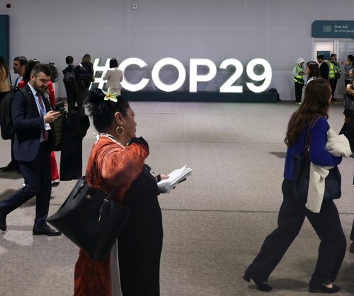 Forests, finance, and justice: The missed opportunities of COP29