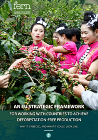 Fern_-_Partnerships_-_EU_strategic_framework_for_working_with_countries.pdf