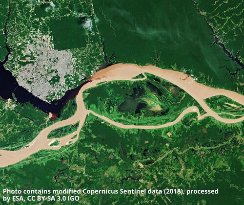 Will a malfunctioning satellite spell trouble for forests?
