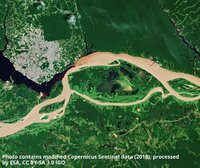 Will a malfunctioning satellite spell trouble for forests?
