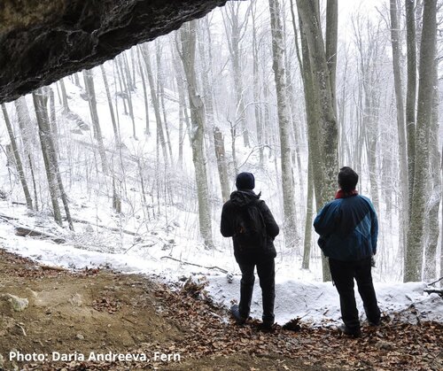Vested interests in Ukraine are grabbing the chance to relax inconvenient environmental controls