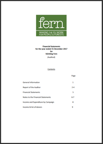 Financial Statements for the year ending 31 December 2017