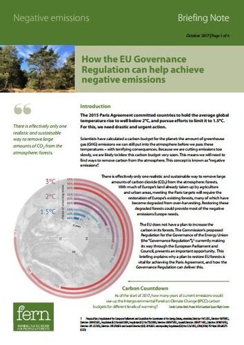 How the EU Governance Regulation can help achieve negative emissions