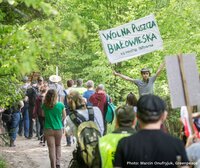 Poland’s forest policies recently provoked national shame. Now they are a source of pride.