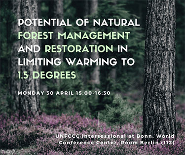 Potential of natural forest management and restoration in limiting warming to 1.5 degrees