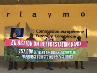 Why you should support a new European law to combat global deforestation