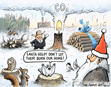 Ferns Christmas wish for the bioenergy sector