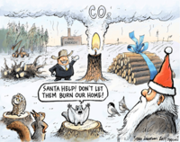 Ferns Christmas wish for the bioenergy sector