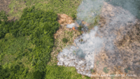 Europe's hidden hand in deforestation