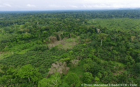 Media groups, journalists and environmental non-profits react to yet another legal prosecution