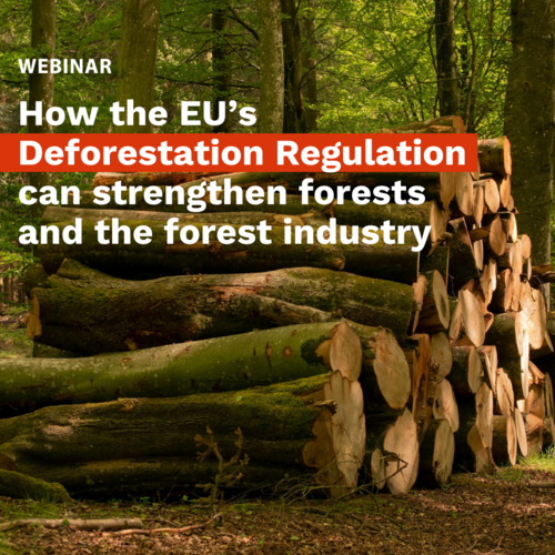 How the EU’s Deforestation Regulation can strengthen forests and the forest industry
