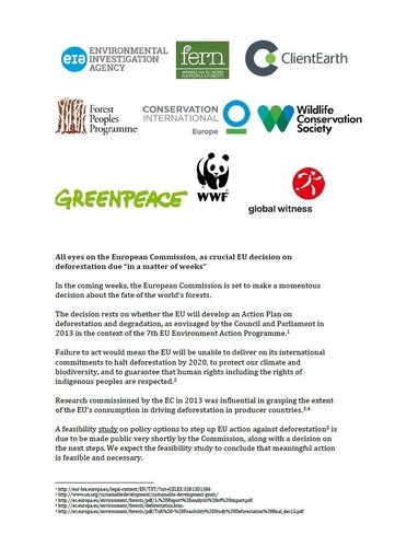 NGO Statement calling on the Commission to propose an EU Action Plan