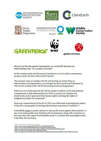 NGO Statement calling on the Commission to propose an EU Action Plan
