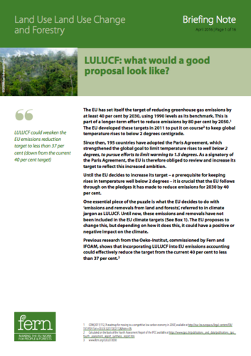 LULUCF: what would a good proposal look like?