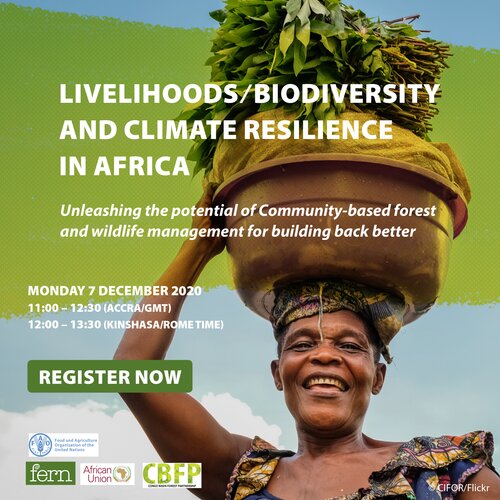 Webinaire : Accroître le potentiel de la gestion communautaire des forêts et de la faune pour mieux reconstruire : moyens de subsistance, biodiversité et résilience climatique en Afrique