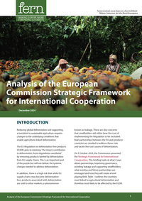 Analysis of the European Commission’s Strategic Framework for International Cooperation