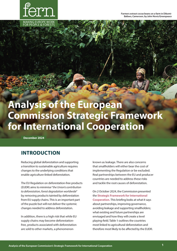 Analysis of the European Commission’s Strategic Framework for International Cooperation