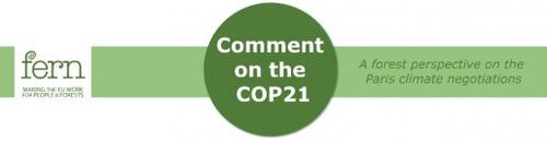 Comment on the COP21 - Issue 1 - the end of negotiations draw near