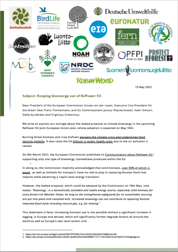Keeping bioenergy out of REPower EU