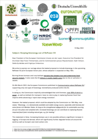 Keeping bioenergy out of REPower EU
