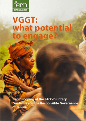 VGGT: what potential to engage?