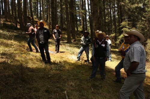 Lessons learned from community forests in Mexico and Guatemala, to benefit community forest work in West and Central Africa