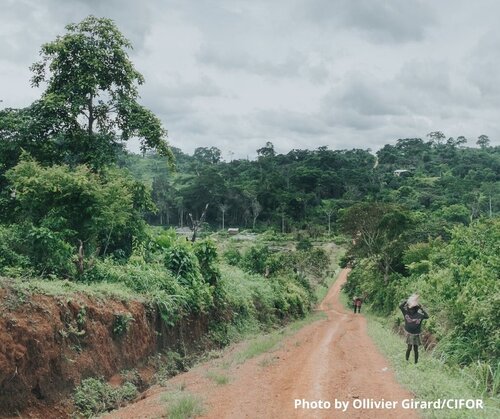 Cameroon’s forests can be saved – but only with the support of local communities and environmental activists