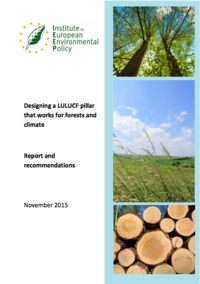 Designing a LULUCF pillar that works for forests and climate