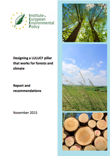 Designing a LULUCF pillar that works for forests and climate