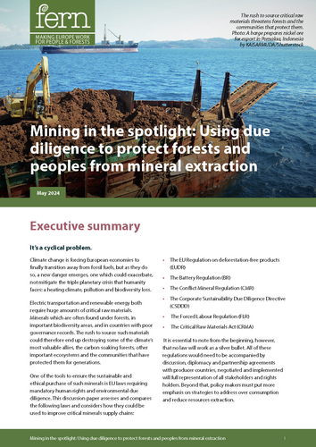 Mining in the spotlight: Using due diligence to protect forests and peoples from mineral extraction
