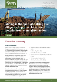 Mining in the spotlight: Using due diligence to protect forests and peoples from mineral extraction
