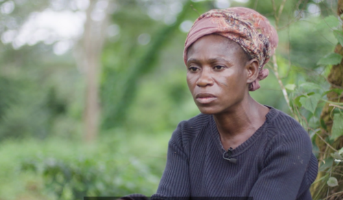 Community forests in Cameroon: what have we learnt so far?